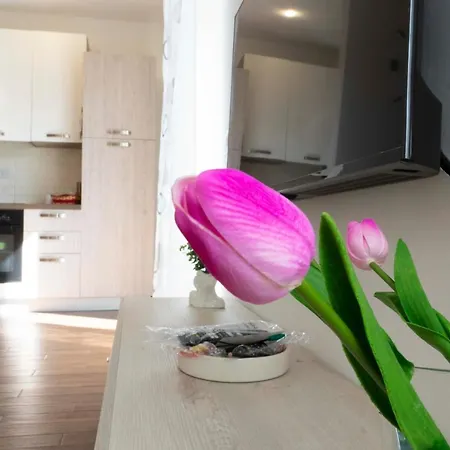 Appartement 70125 Holiday